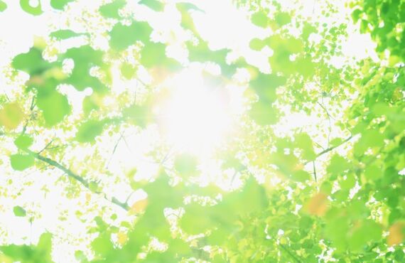 清須で子供の空手道場をお探しなら｜仁勇武館